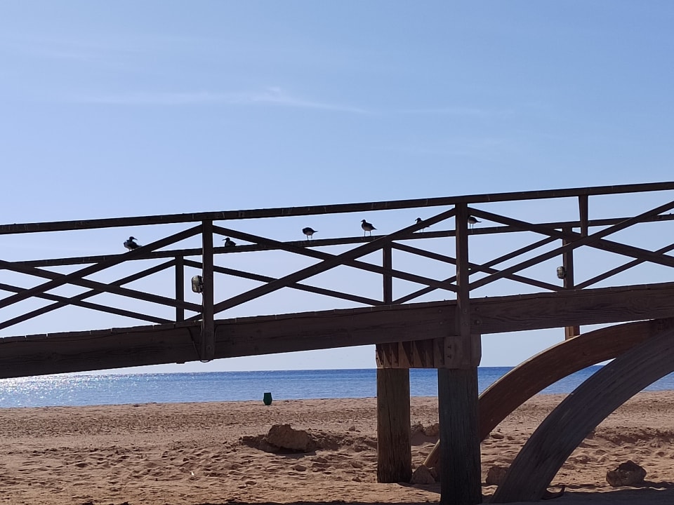 Strand Hotel Sheraton Soma Bay Resort