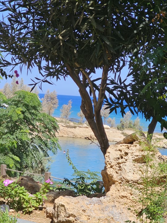 Strand Crystal Springs Beach Hotel