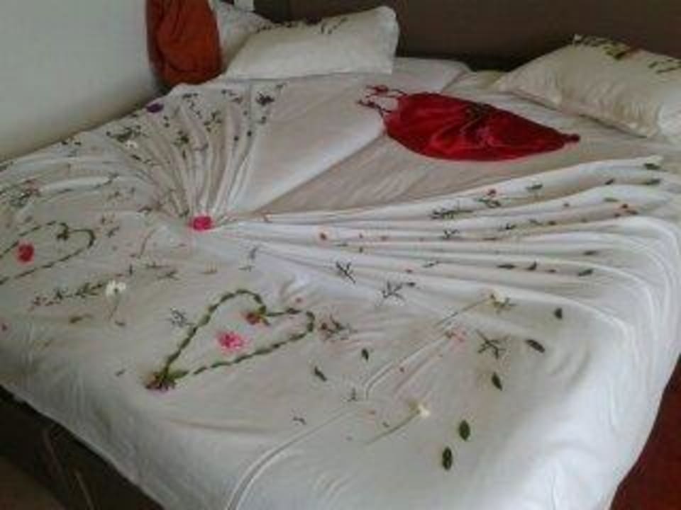 Bed TUI BLUE Palm Beach Hammamet