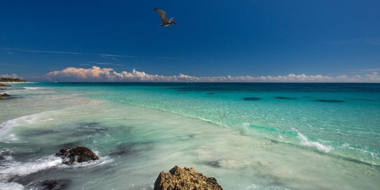 Mi Amor Ocean Hotel Mi Amor