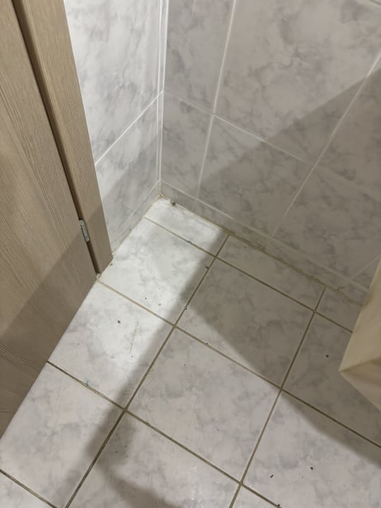 Zimmer Sunshine Rhodes