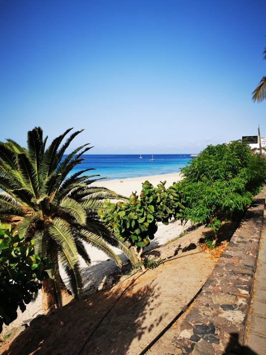 Ausblick Hotel Riu Palace Jandia