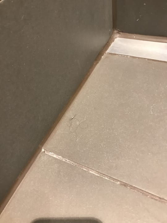 Zimmer aja Travemünde