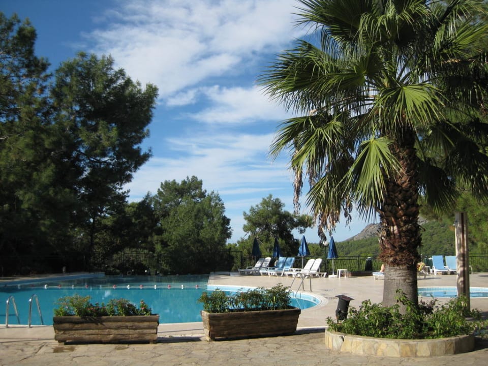 Einer der 3 Poolbereiche Montana Pine Resort