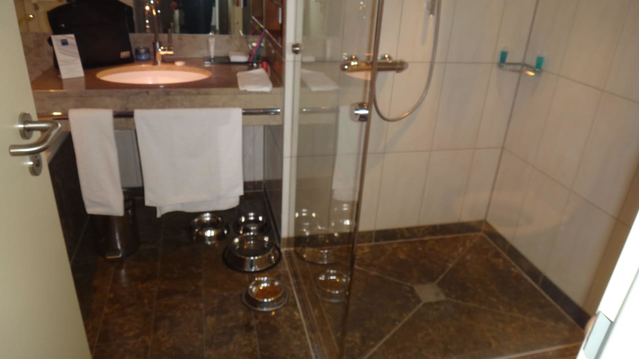 Dusche ebenerdig Dorint Hotel am Heumarkt Köln