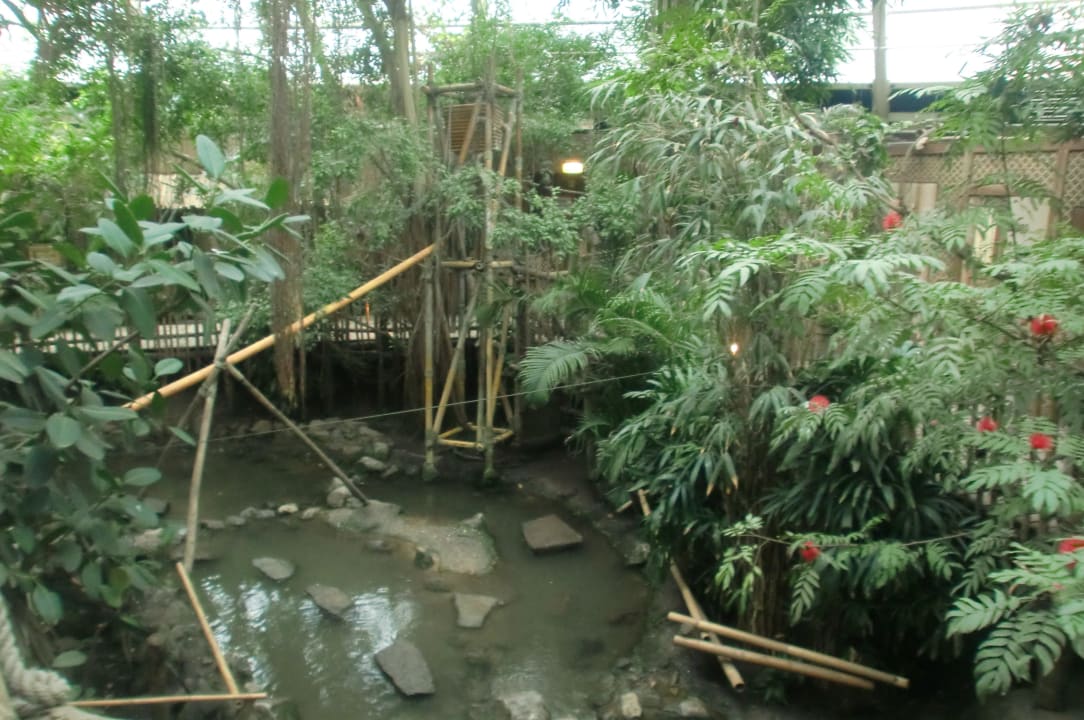 Jungle Dom  Center Parcs Het Heijderbos