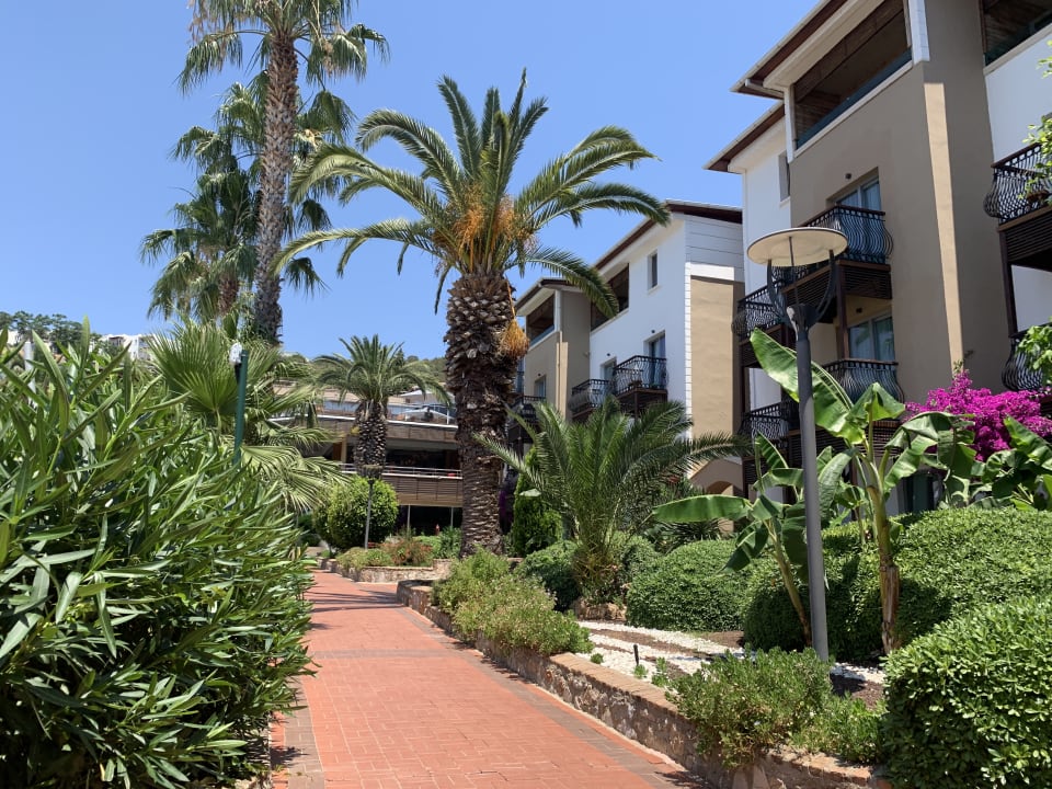Gartenanlage TUI MAGIC LIFE Bodrum - Adult Only (16+)
