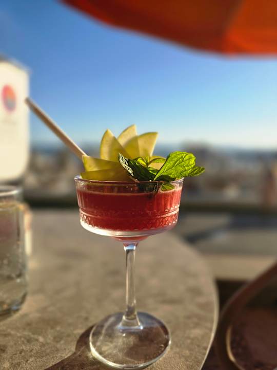 Gastro Arum Barut Collection