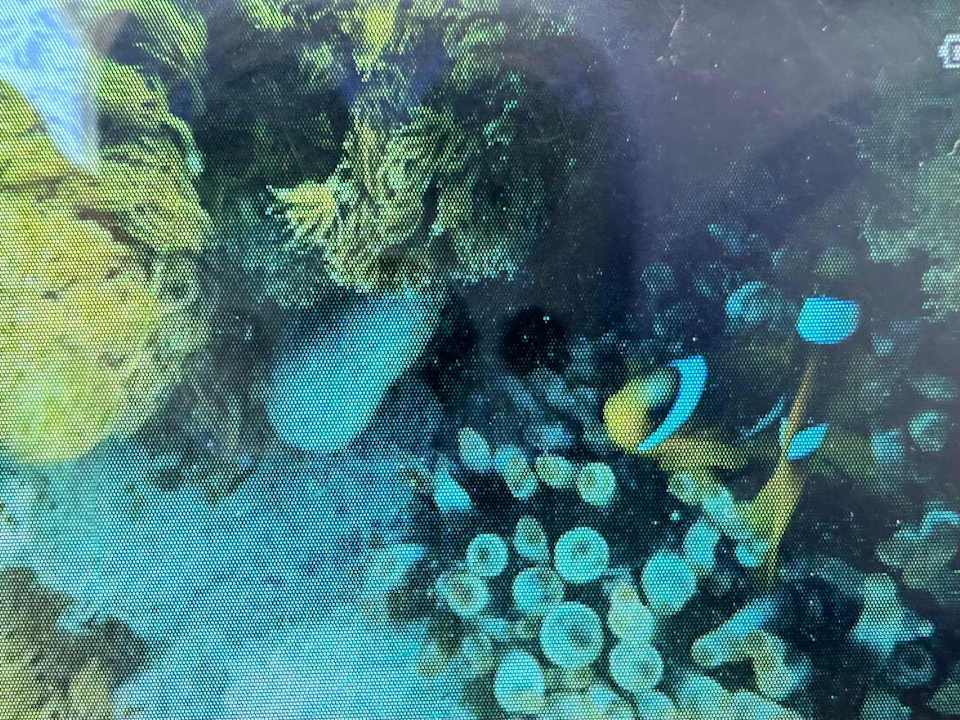 Sport & Freizeit Jaz Makadina