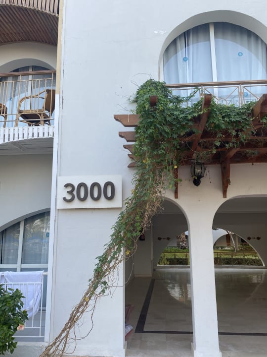 Außenansicht Desert Rose