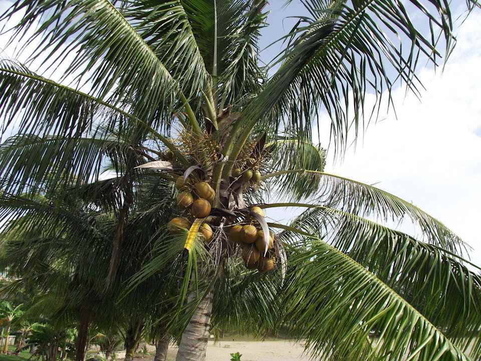 Authentisch auch im Garten The Empire Hotel & Country Club