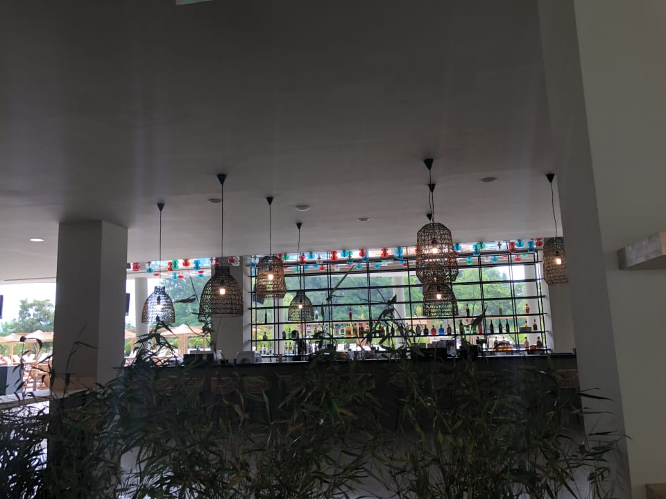 Sonstiges Cook's Club Sunny Beach