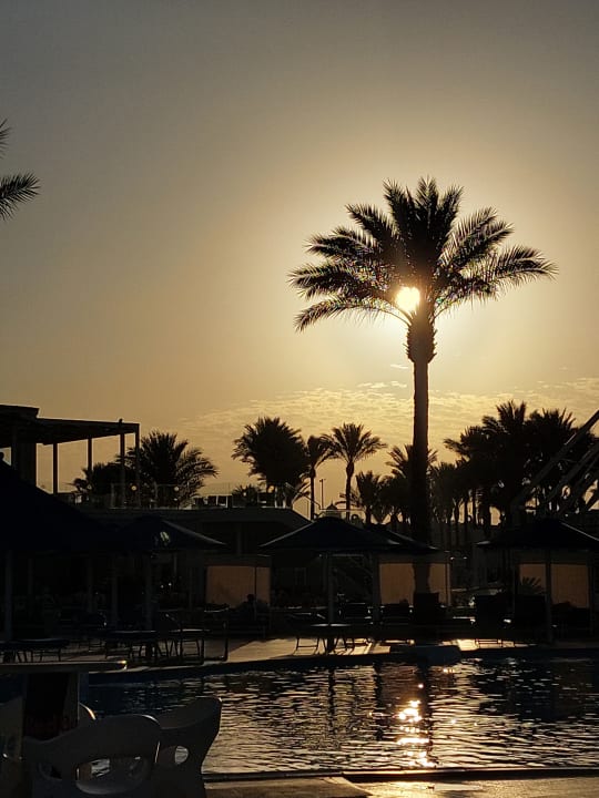 Gartenanlage Pickalbatros Dana Beach Resort - Hurghada