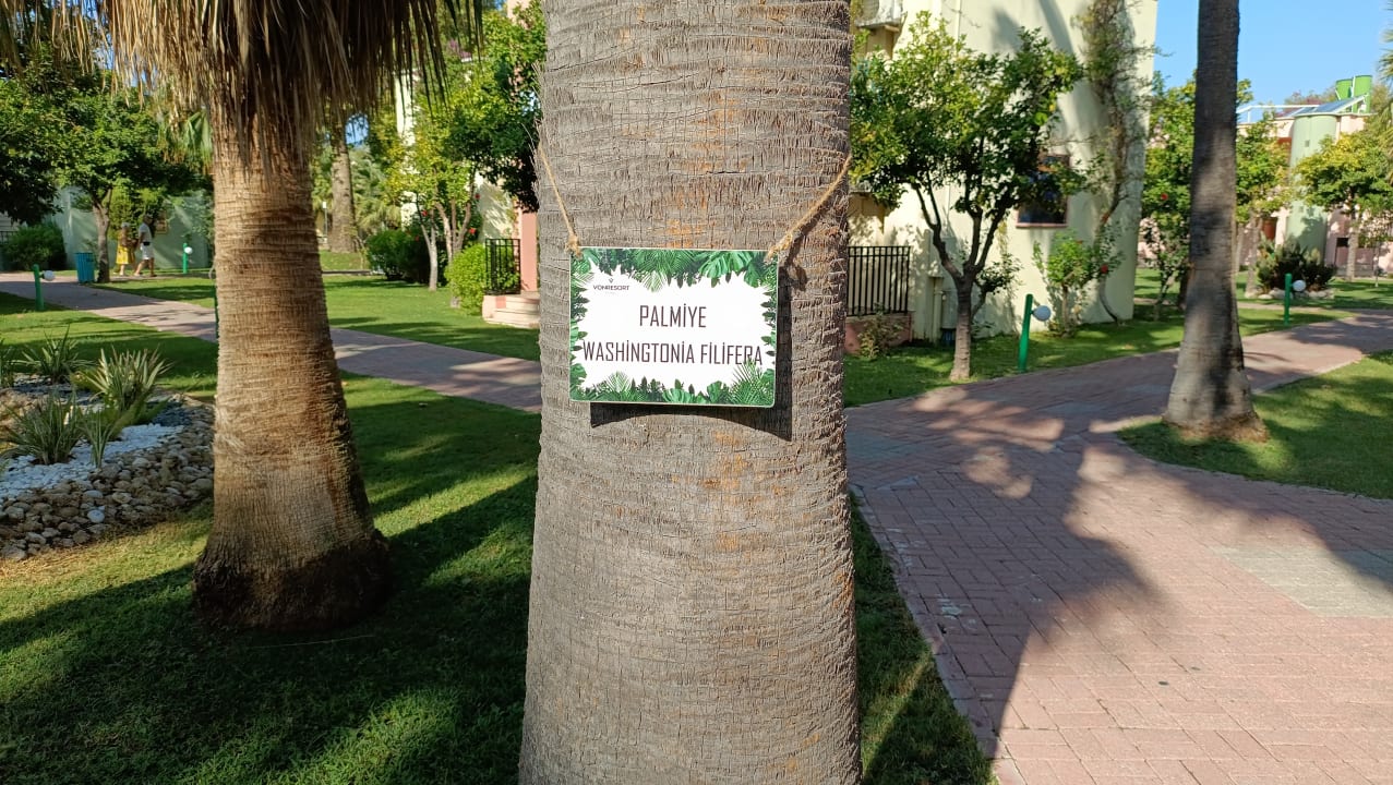 Gartenanlage VONRESORT Golden Beach