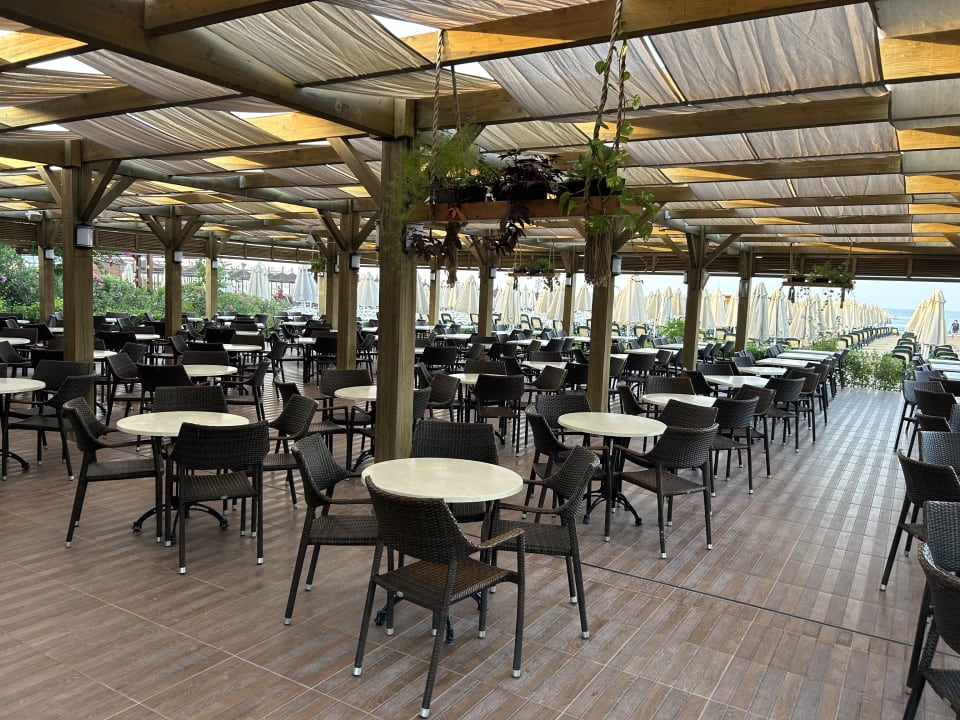 Gastro Sentido Trendy Verbena Beach