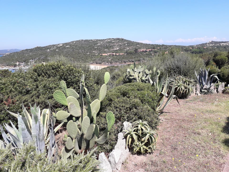 Gartenanlage Residence Costa Serena