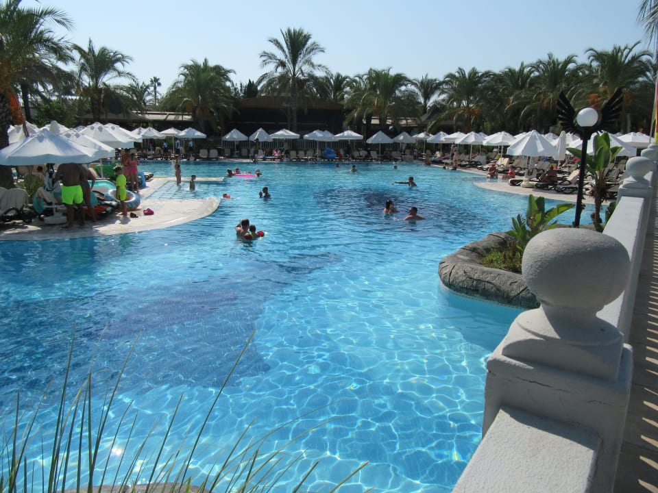 Pool Royal Wings Hotel