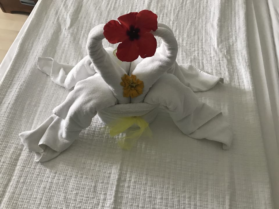 Zimmer Belek Beach Resort Hotel