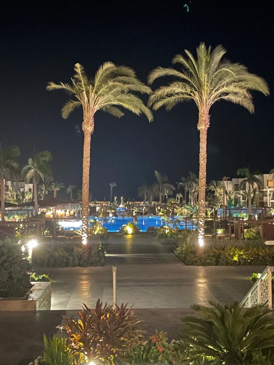 Ausblick Steigenberger Resort Ras Soma