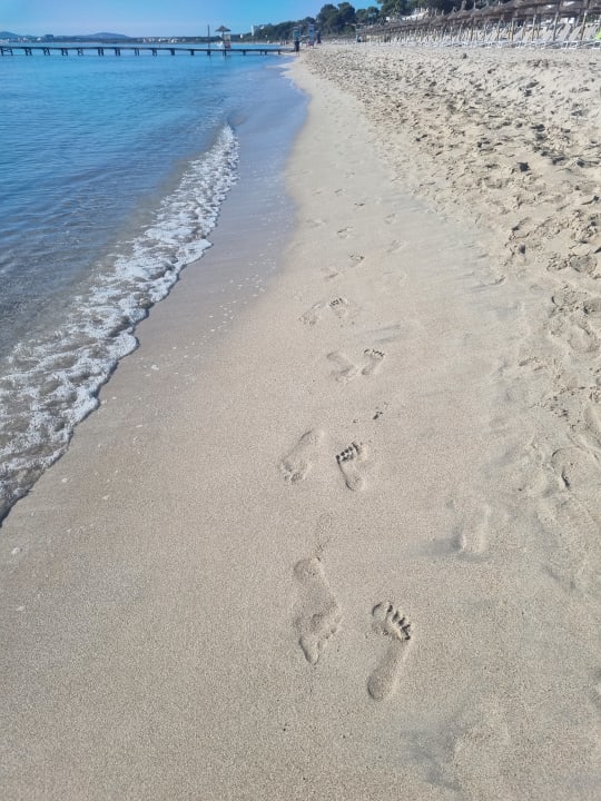 Strand allsun Hotel Eden Alcudia
