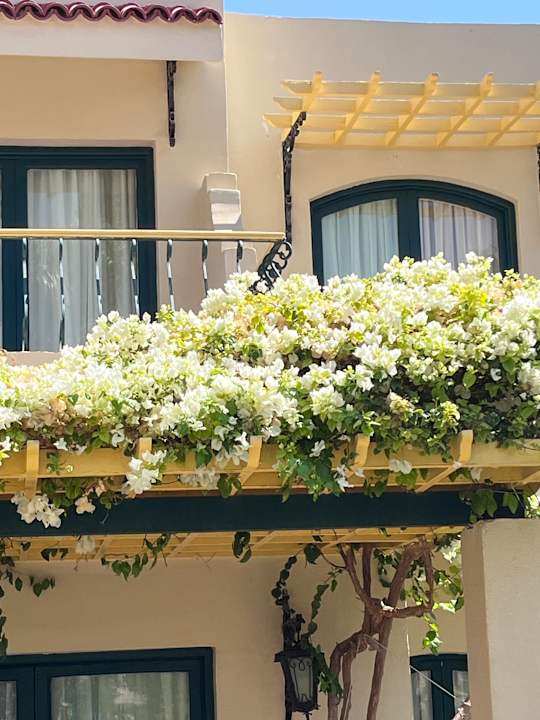 Sonstiges Lotus Bay Beach Resort