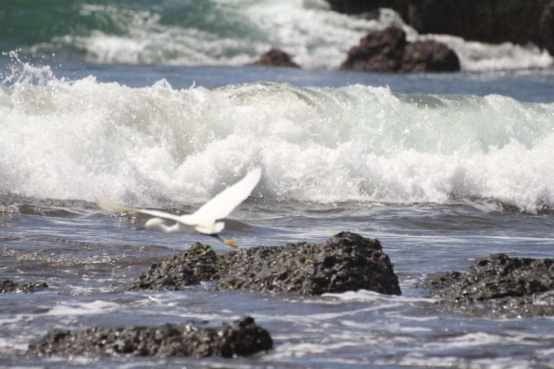 Brandung Hotel Pochote Grande