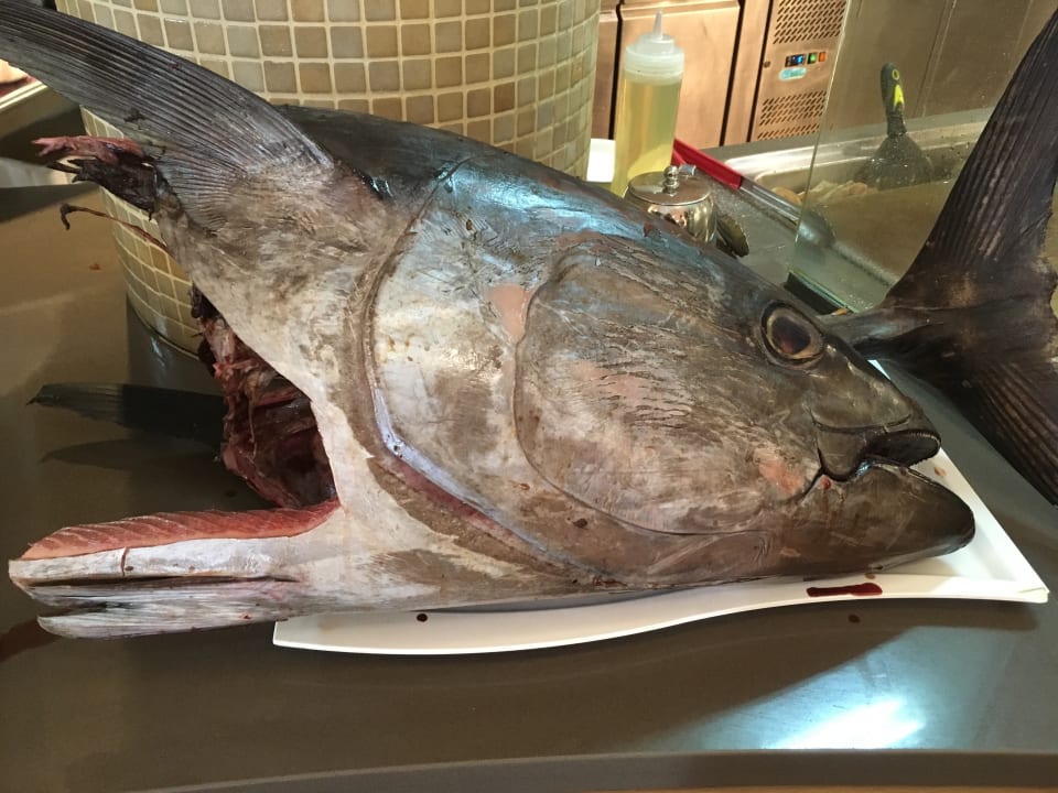 Gastro Atlantica Plimmiri