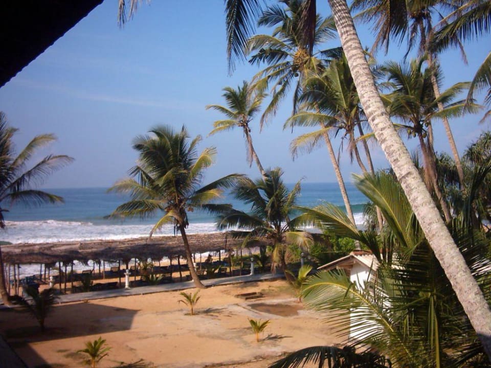 Palm Beach Guesthouse in Thiranagama Der Strand Palm Beach Guesthouse