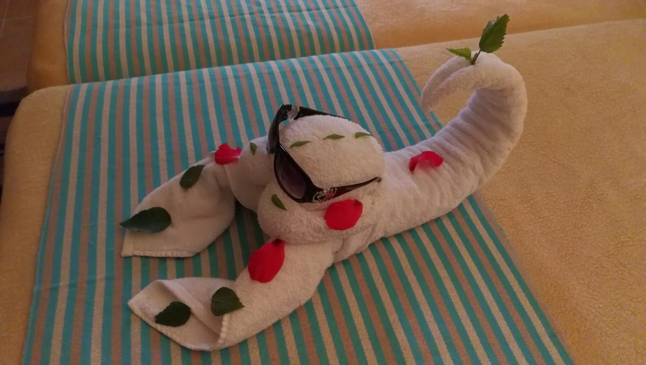 Roomboy Amphoras Blu