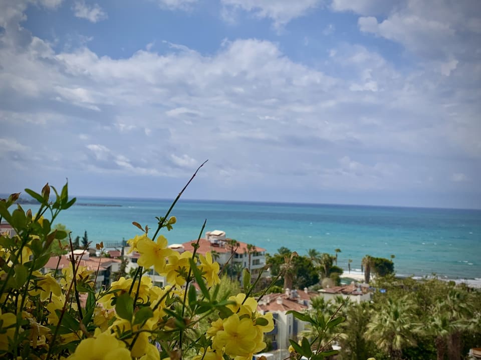 Ausblick Side Star Elegance