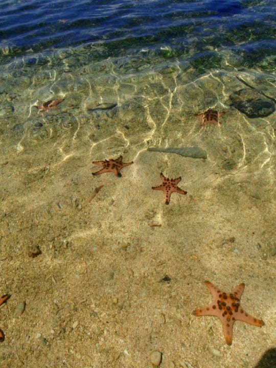 Seesterne Hotel Siladen Resort & Spa