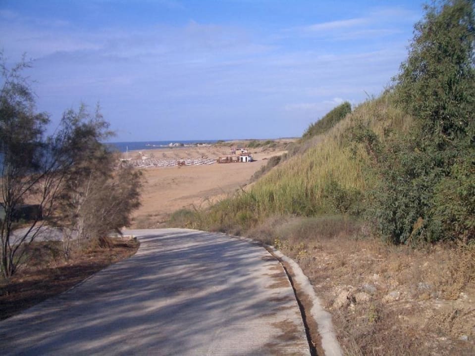 Aussicht zum Strand Roma Beach Resort & Spa 16+ Adult Only