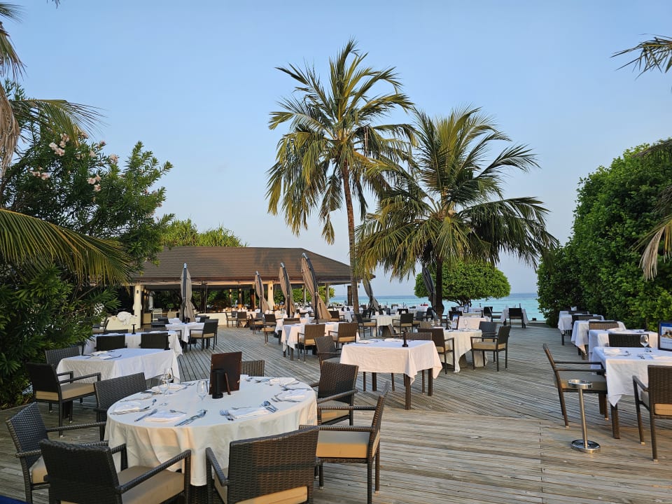 Gastro ROBINSON NOONU