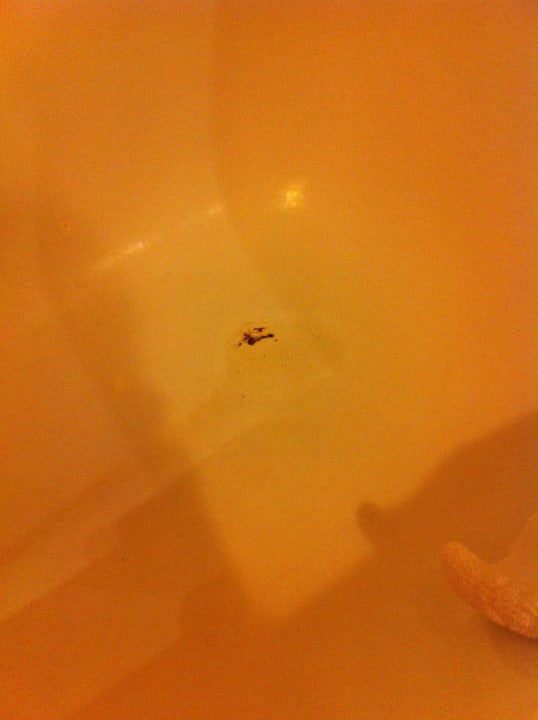 Rost in Badewanne Hotel Quisisana