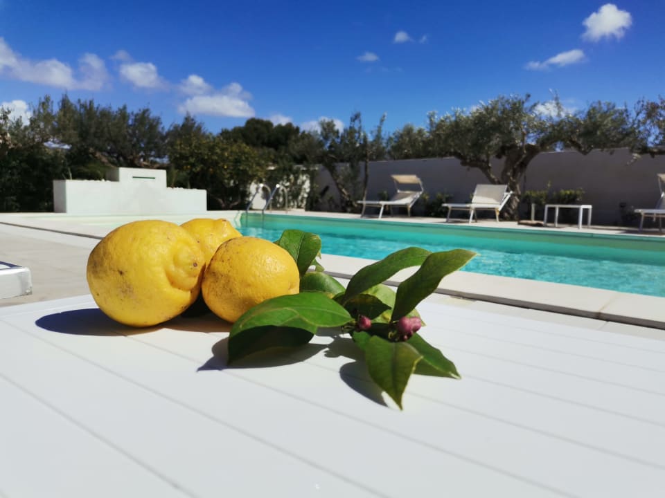Pool Signorino Eco Resort & spa