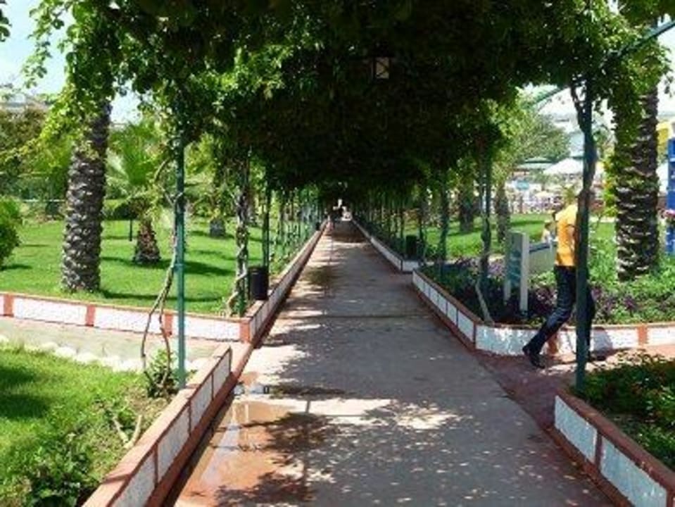 Auf dem Weg zum Strand Hotel Turan Prince