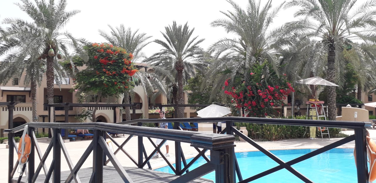 Pool Miramar Al Aqah Beach Resort