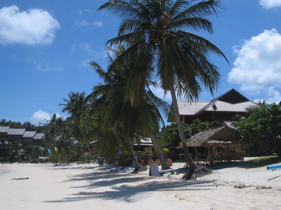 Am Strand! im Paradies Long Bay Resort Koh Phangan
