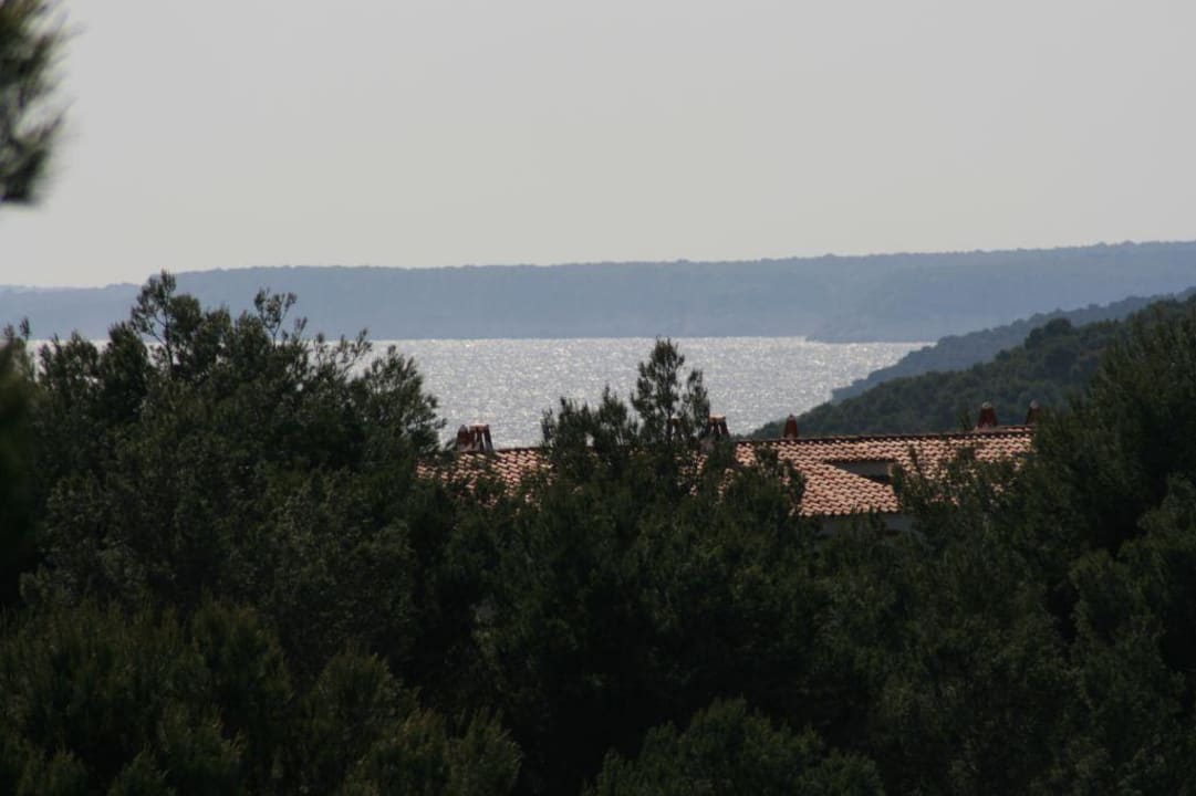 Blick aus dem Balkon Valentin Son Bou