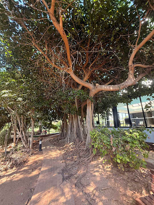 Gartenanlage Hotel Grecian Bay