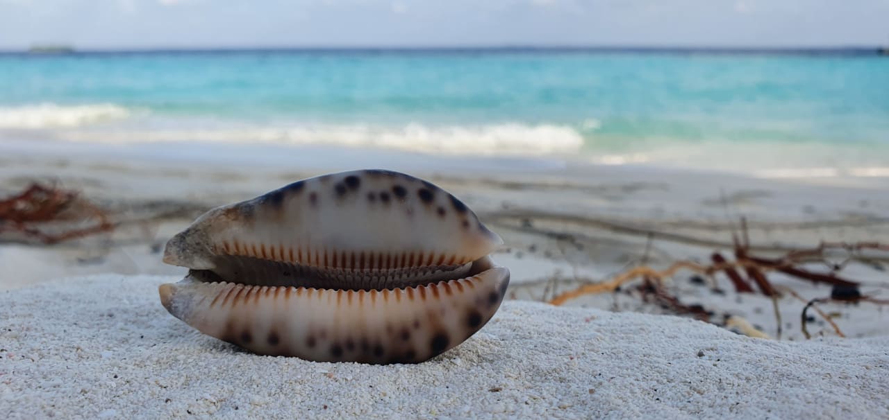 Strand NH Collection Maldives Havodda Resort