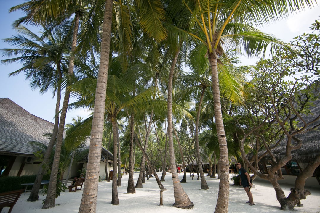 Der Weg zum Restaurant Meeru Maldives Resort Island