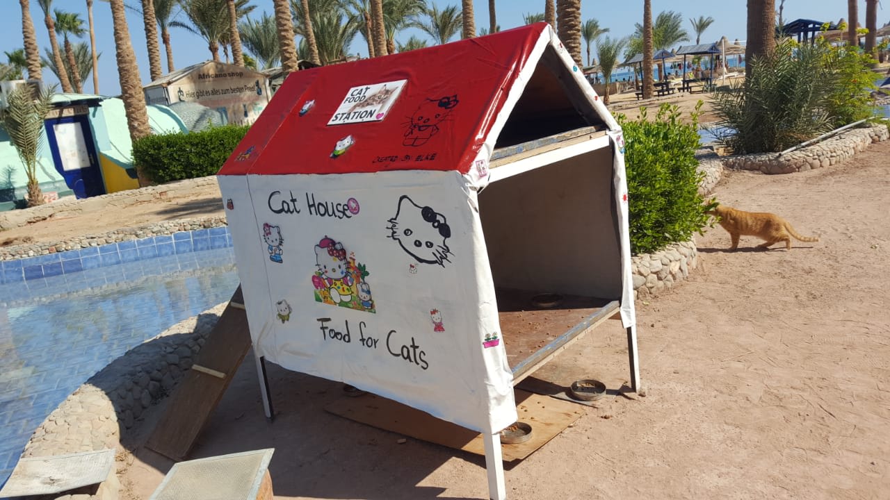 Sonstiges Giftun Azur Resort