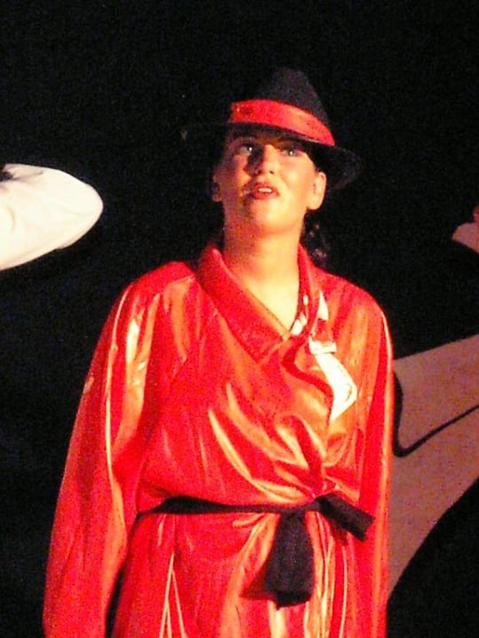 Falco Show Hotel Tsokkos Paradise Village