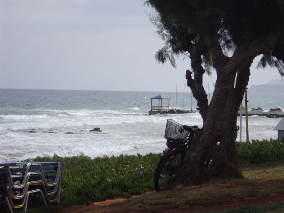 Aussicht vom Garten aufs Meer Hotel Ariadne Beach