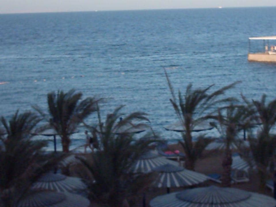 Das Meer Beach Albatros Resort