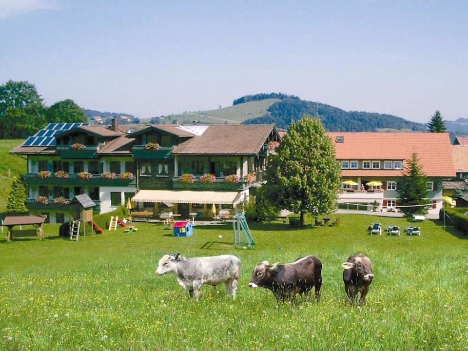 Ferienhotel Starennest Ferienhotel Starennest