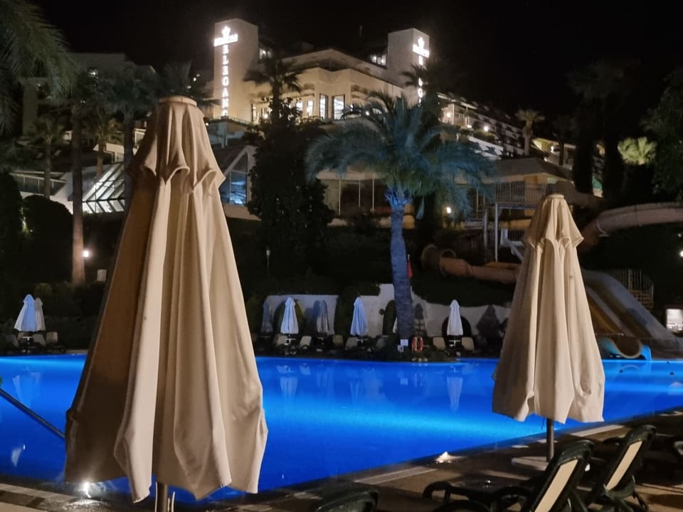 Pool Side Star Elegance