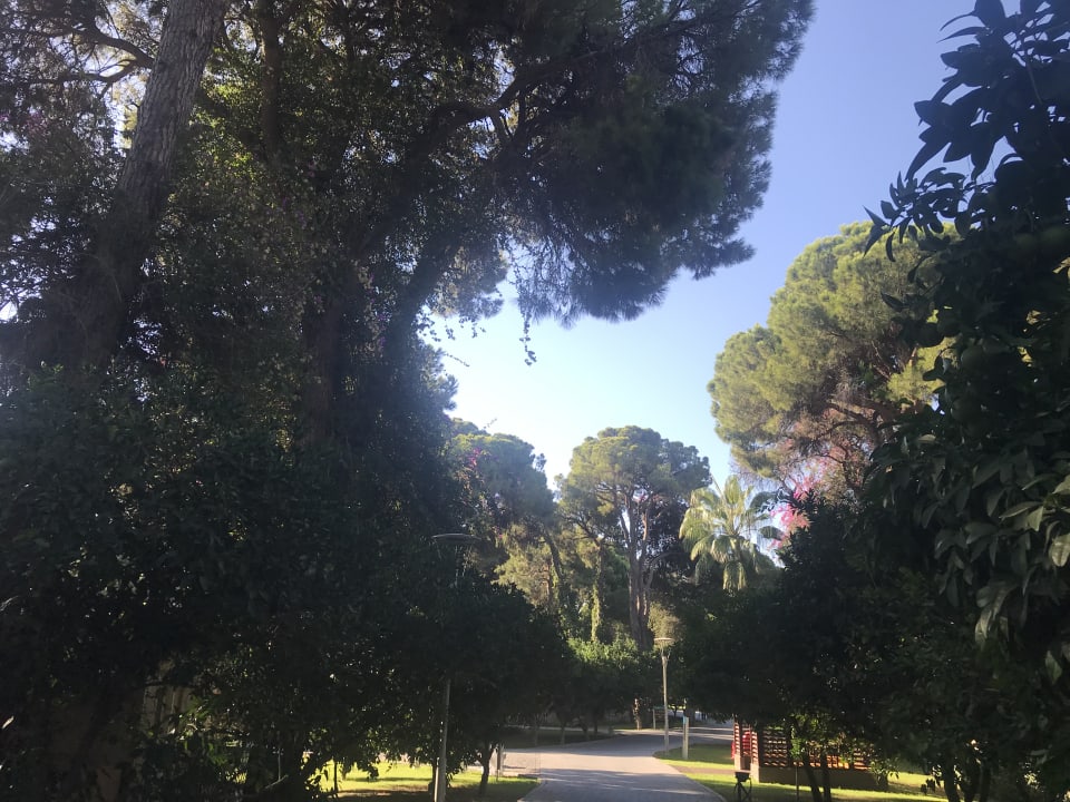 Gartenanlage Pine Beach Belek