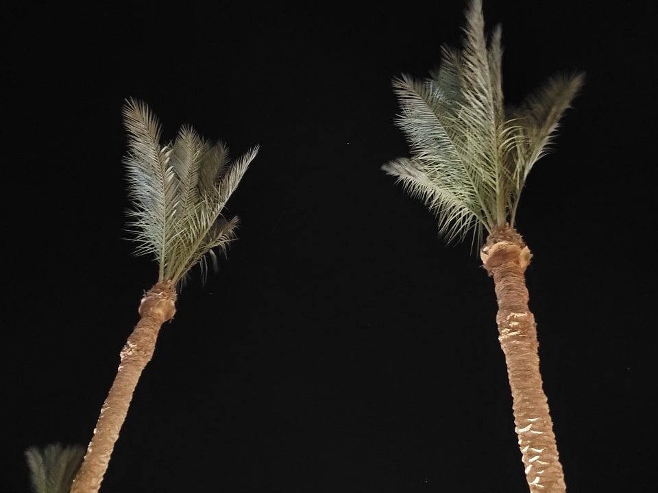 Gartenanlage Jaz Dar EL Madina